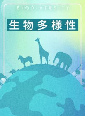 特集画像