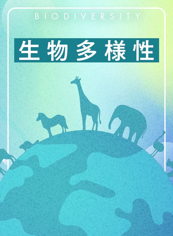 特集画像