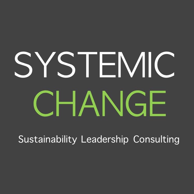 株式会社SYSTEMIC CHANGE