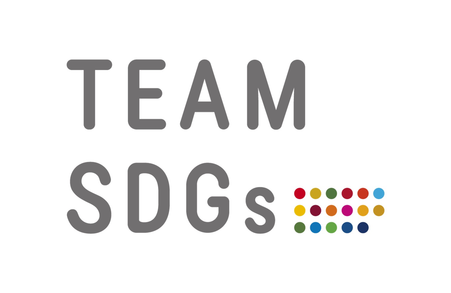 TEAM SDGs