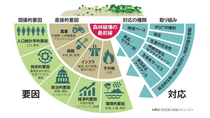 世界24カ所で日本の1 2倍の森林が消失 Wwf 森林破壊の最前線 報告 サステナブル ブランド ジャパン Sustainable Brands Japan